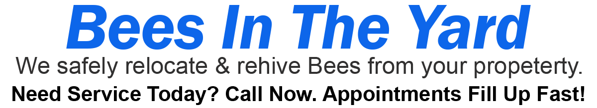 Teddys Bee Removal company logo with text that says, Live Bee Removal. Bees in your Yard? Need service today? Call now. Appointments fill up fast